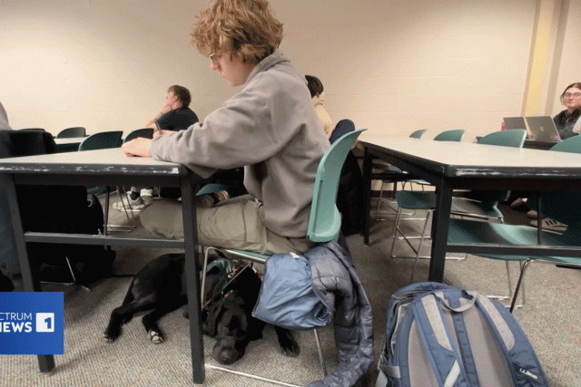 a black dog naps under a desk being used by a student in a college classroom.