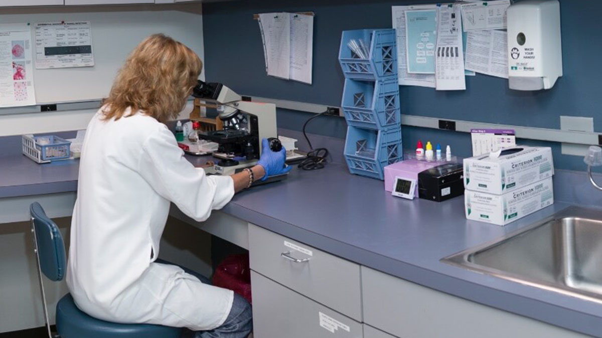 A lab technician looking at samples through a microscope in a lab.
