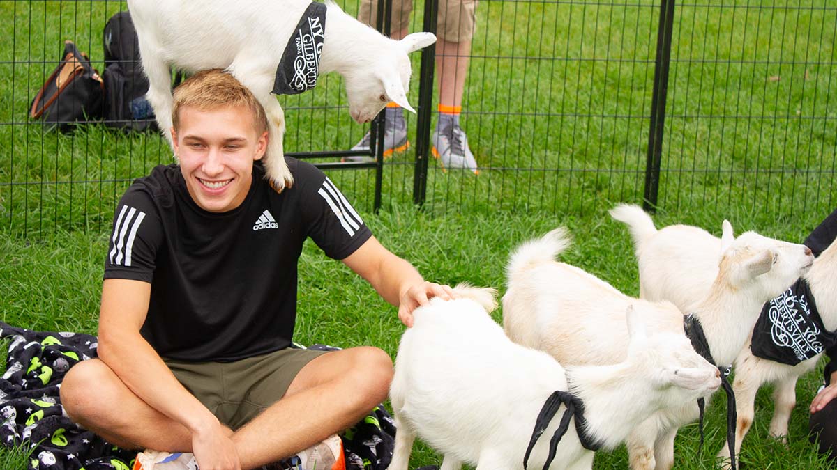 Student sitting on the ground petting a goat while another goat stands on his shoulders.