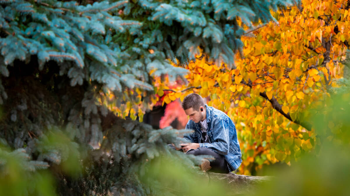 A student relaxes before a class as the leaves start to turn at the RIT campus 