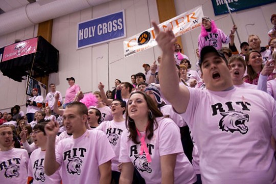 Crowd gathered for hockey game