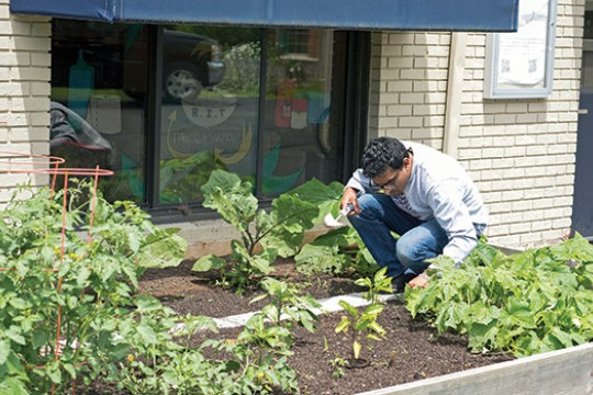 Person working in garden