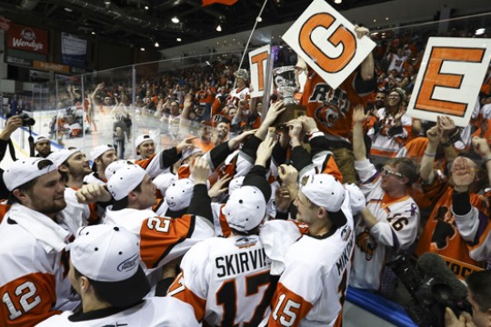 People celebrating at hockey game