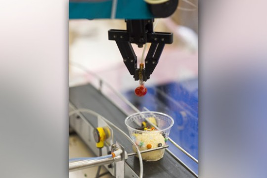 Picture of assembly line