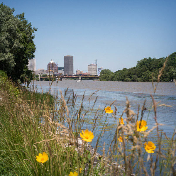 Scenic view of Genesee River