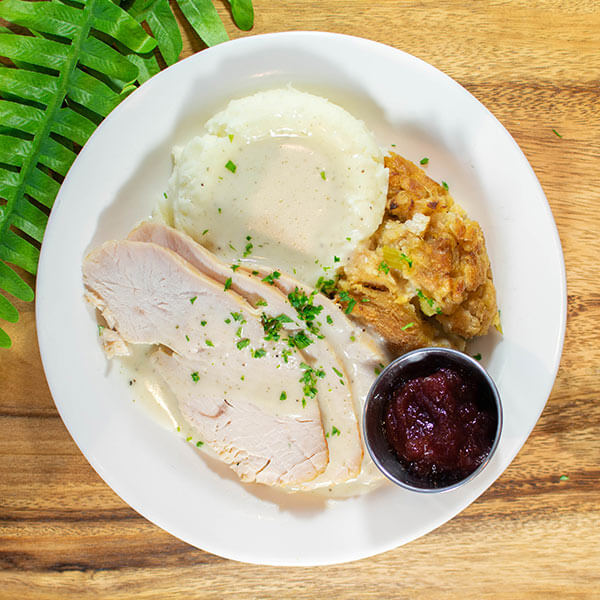 Turkey, mashed potatoes, stuffing, and cranberry sauce
