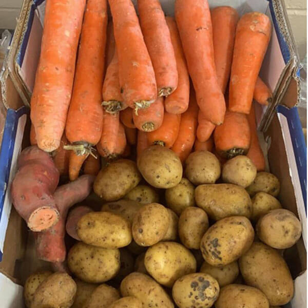 A bin containing carrots and potatoes