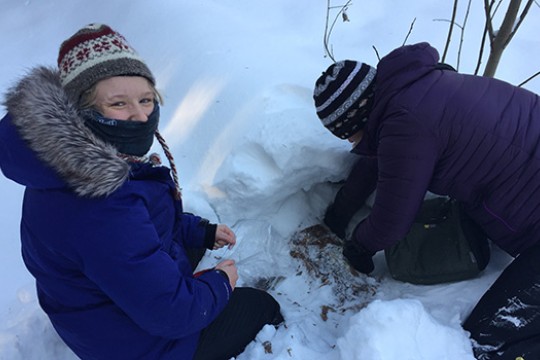 Two students dig through the snow to find mosses. One student looks up at the camera and smiles through her scarf.