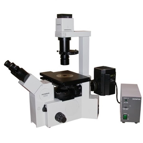 Olympus IX50 Inverted Optical Microscope