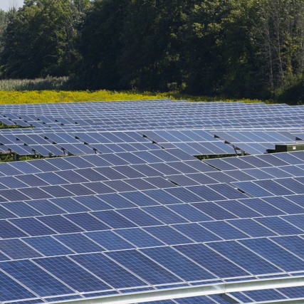 field of solar panels.