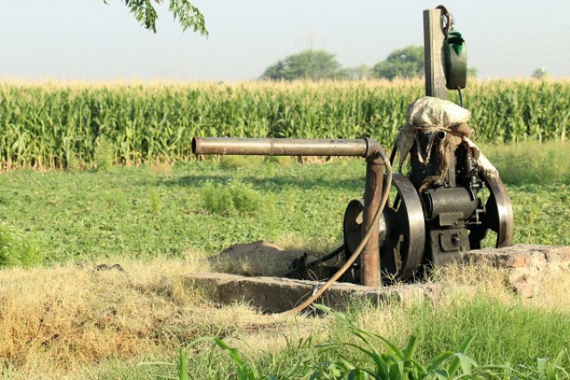 a piece of machinery sits in a corn field.