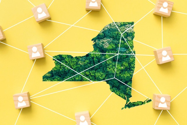 an outline of new york state filled with a pattern of treetops on a yellow background. Around it, wooden blocks with a figure depicting a torso of a person surrounds the state connected by white lines.
