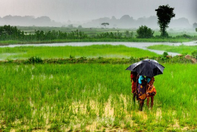 people huddle under an umbrella in an overflowing field