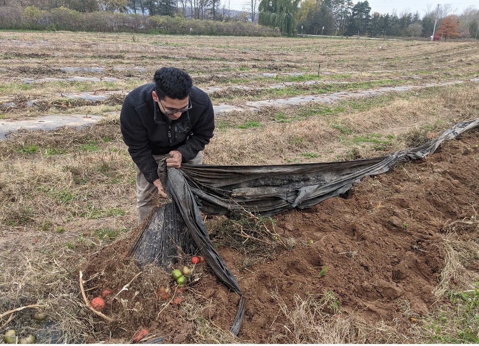 Researcher picking up plastic from the field