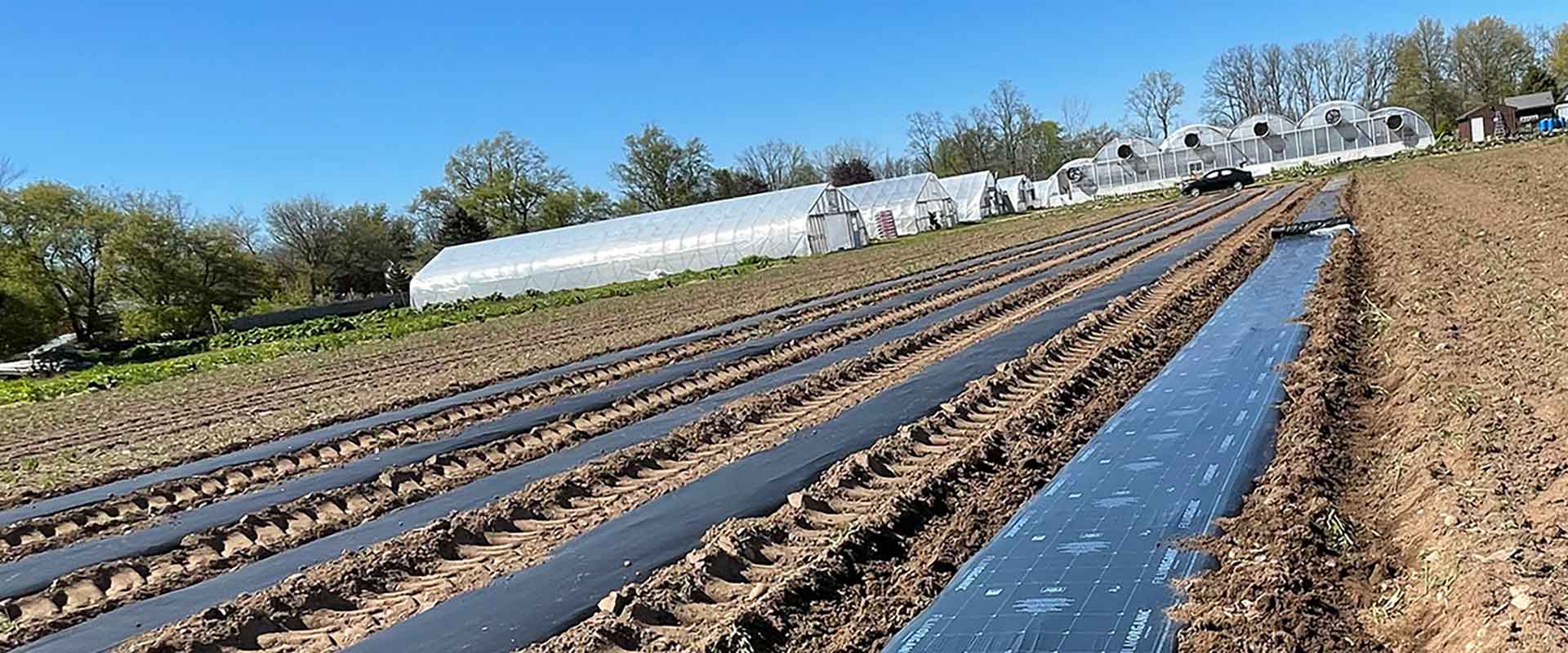 a stretch of farmland with strips of black film laid down in rows.