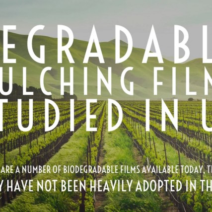 field of crops with the words Degradable mulchng films studied in US.