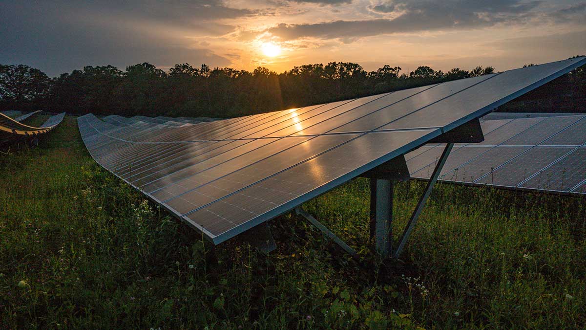 Rows of solar panels reflect the setting sun in a field surrounded by trees.