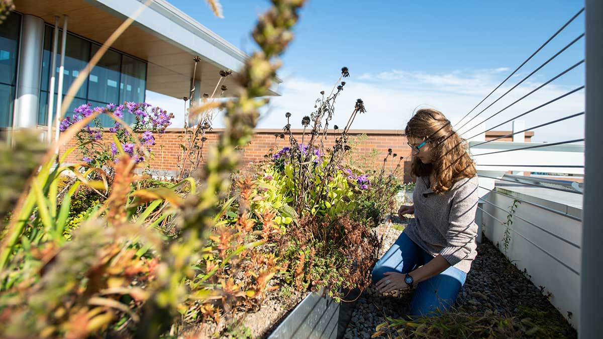 A woman tends to plants on a rooftop garden next to a modern building under a clear sky.