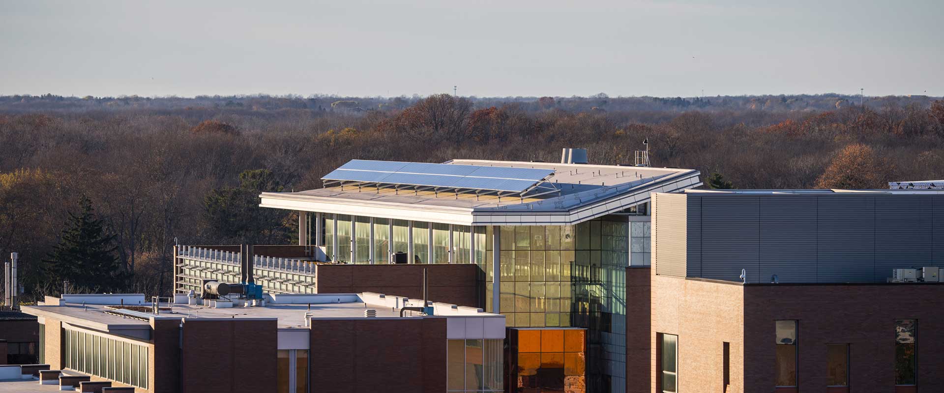 A close-up view of a building rooftop with solar panels and surrounding bare trees in late autumn.