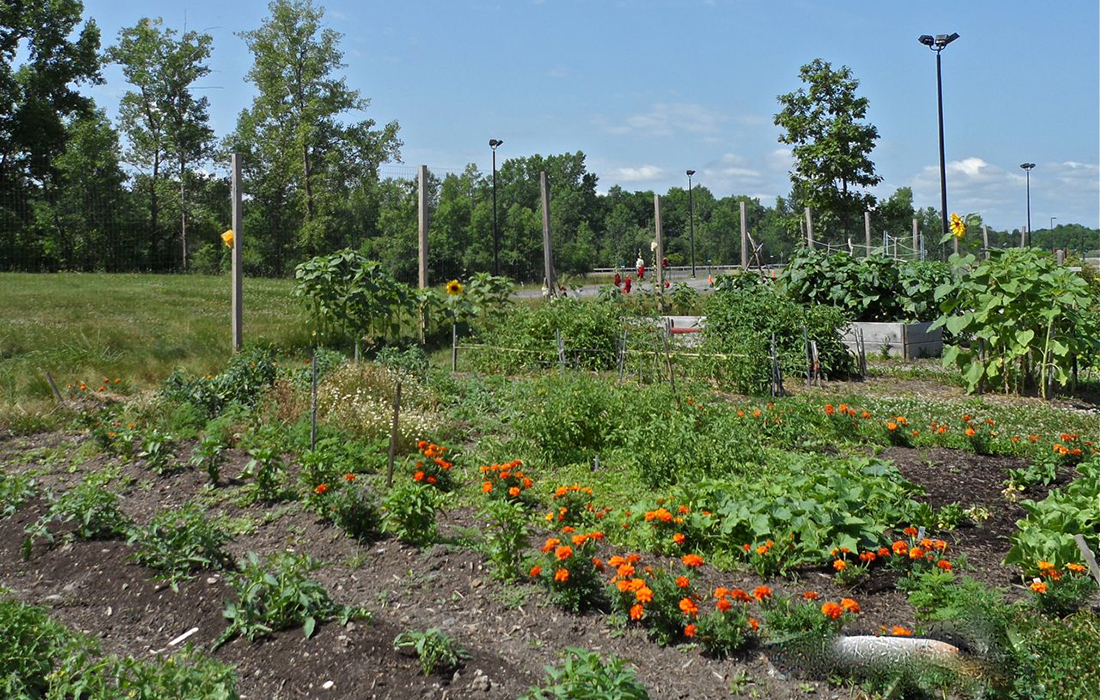 RIT Community Garden