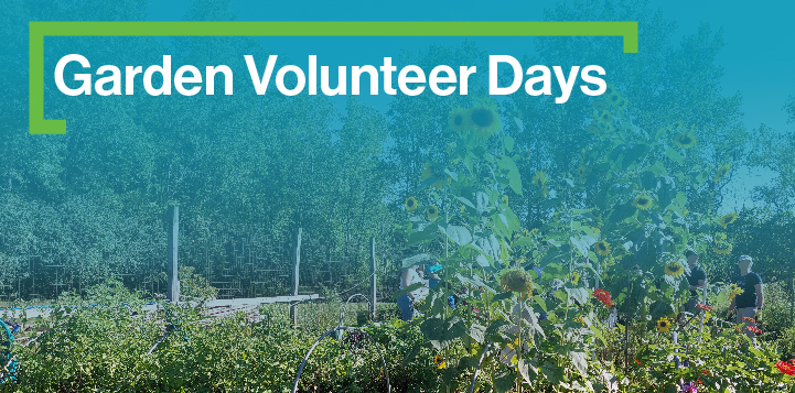 text: Garden Volunteer Days, visuals: picture of the community garden
