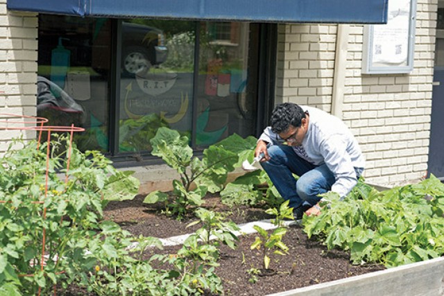 Person working in garden