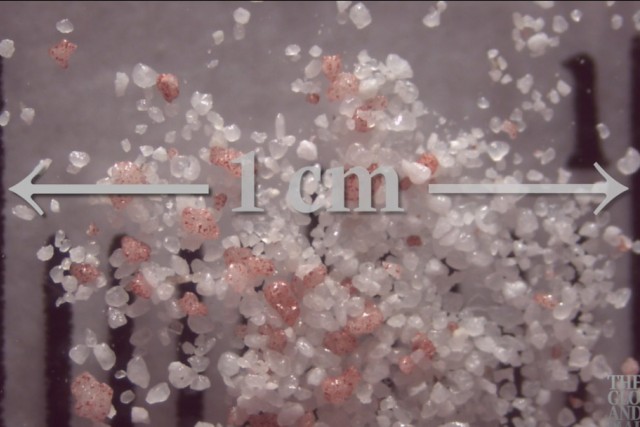 enlarged view of microplastic pellets.