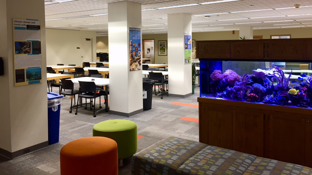 Photo of first floor of the Wallace Library, RIT
