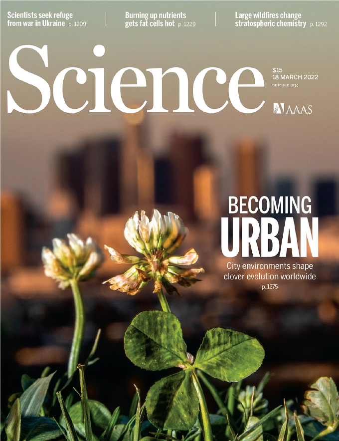 decorative image of the cover of Science magazine with a close up of white clover