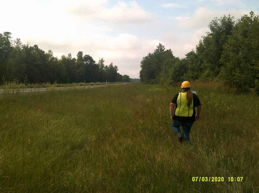 decorative image of a researcher walking in a highway roadside