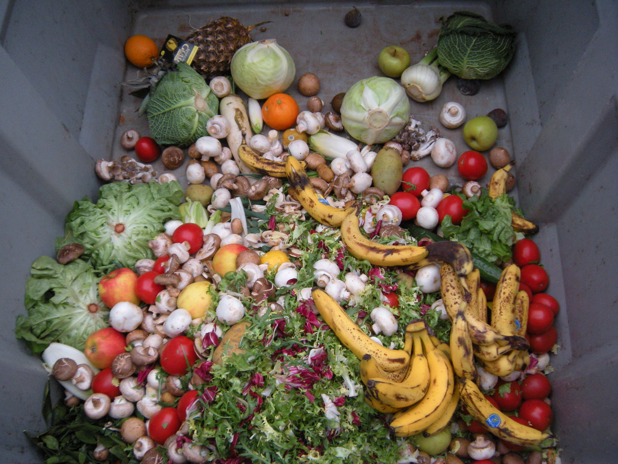 https://commons.wikimedia.org/wiki/Category:Food_waste#/media/File:Trashed_vegetables_in_Luxembourg.jpeg decorative image of food waste - available from https://commons.wikimedia.org/wiki/Category:Food_waste#/media/File:Trashed_vegetables_in_Luxembourg.jpeg