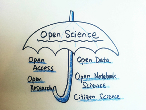 drawing of an umbrella on a white board with different elements of open science