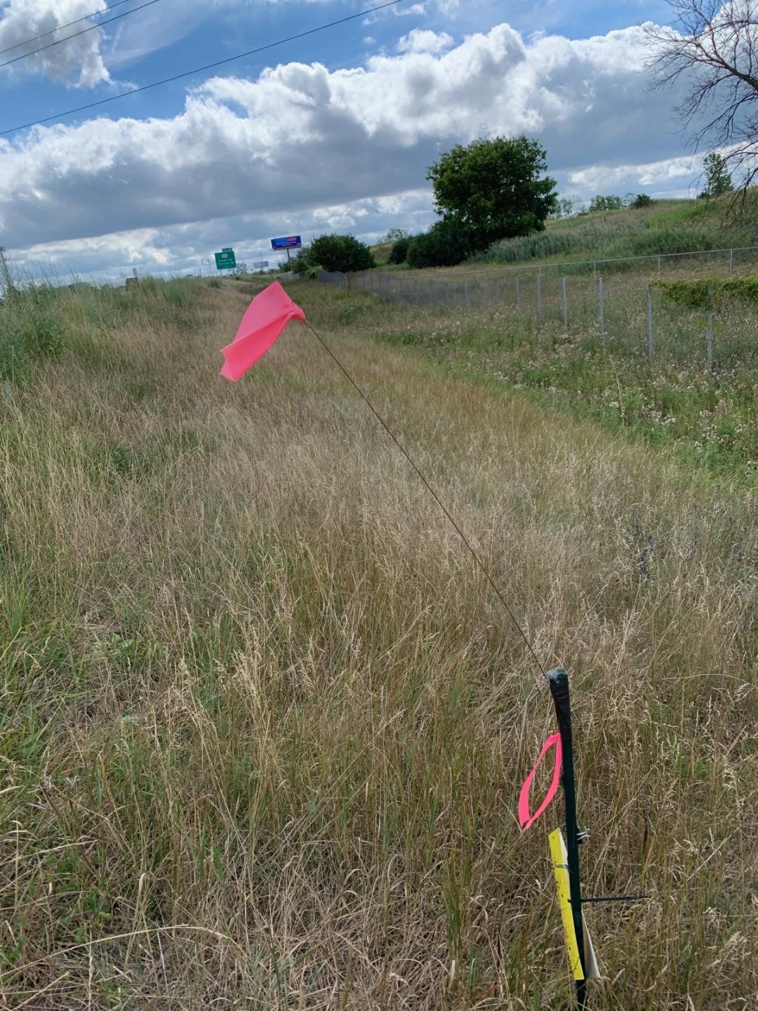 vertical photo of a sampling post in a grassy highway roadside