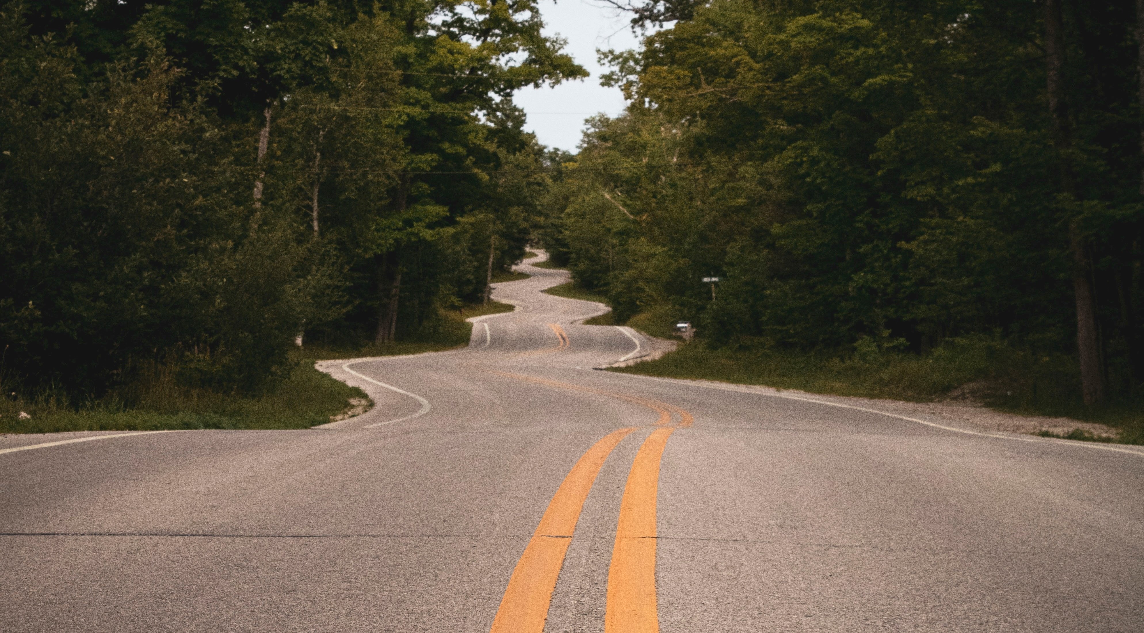 long, winding paved road surrounded by trees on either side