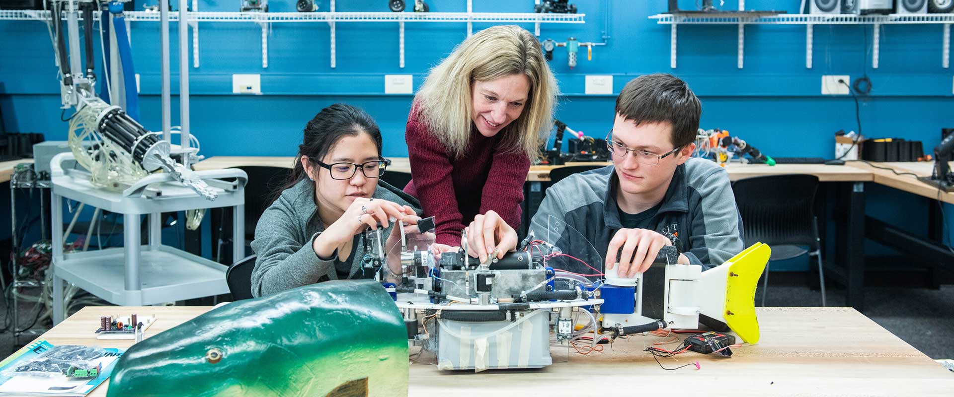 Students working with a professor in a lab