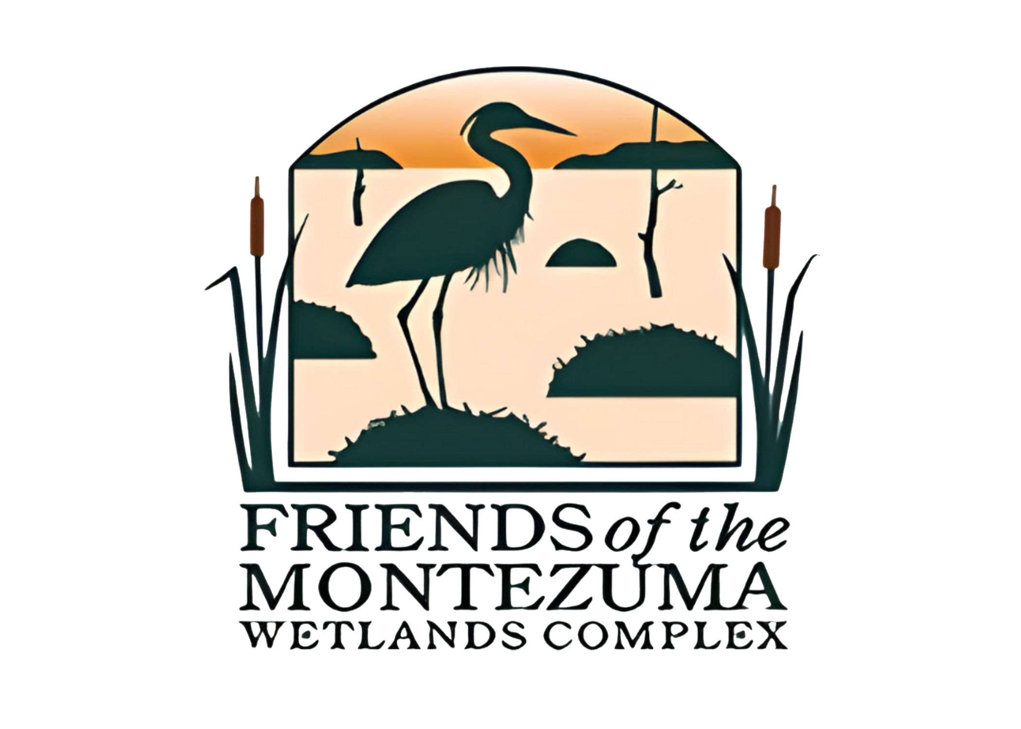 Friends of Montezuma Logo
