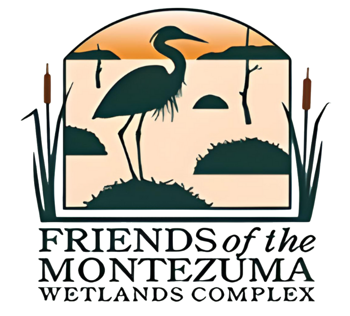 Friends of Montezuma Logo