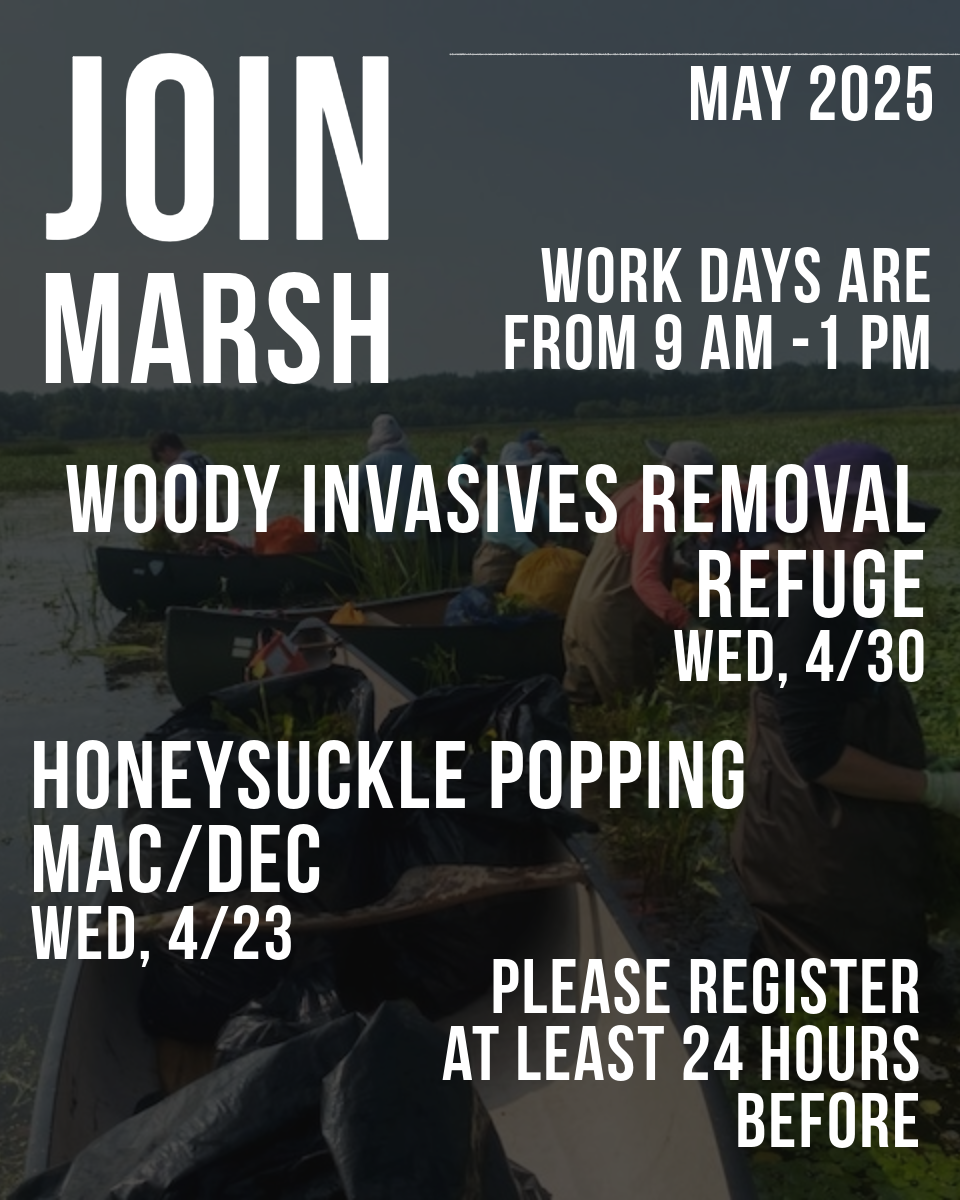 Join Marsh flyer 