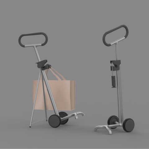 Digital image of a personal shopping cart