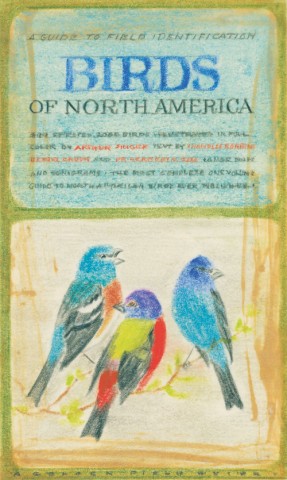 Hand drawn rendering of a book cover with title 'Birds of North America". Three colorful birds are grouped under title.