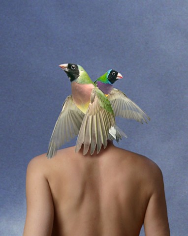 Manipulated photographic image of a woman's back and two winged birds as her head