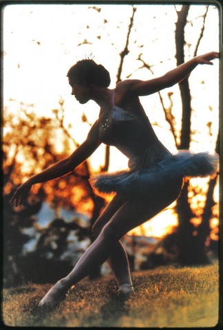Color photo image of a tutu wearing ballerina in a pose with sunset and tree silhouettes backdrop