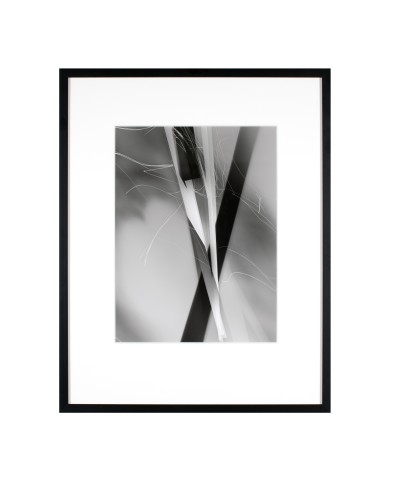an abstracted layering of forms in black, white and shades of grey in a vertical layout.
