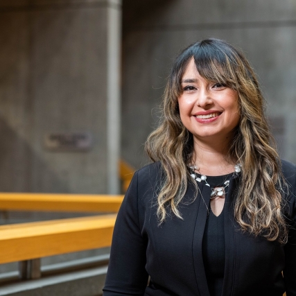 Headshot of Professor Duygu Akdevelioglu