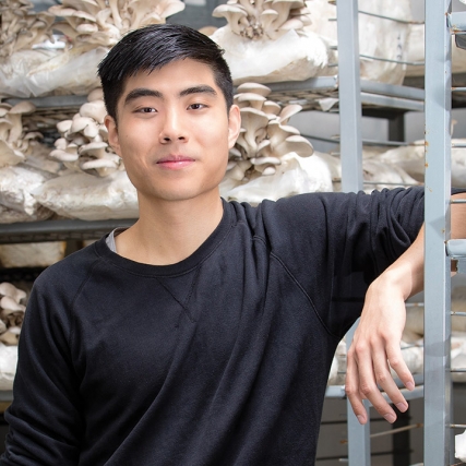 person stands next to shelves with mushrooms growing out of bags of sawdust.