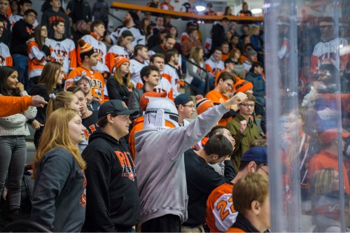 fans in the stands at a hockey game