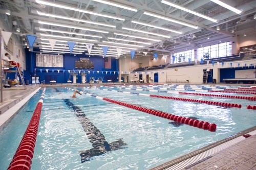 people swimming in a pool
