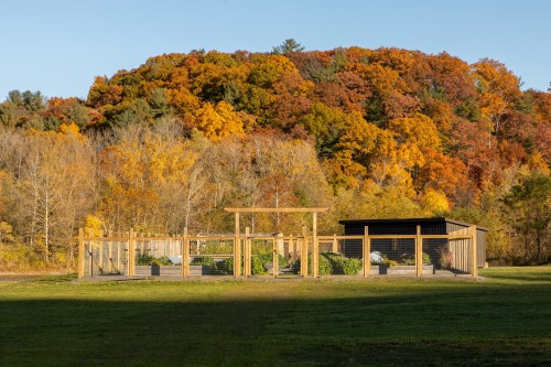 garden with fencing