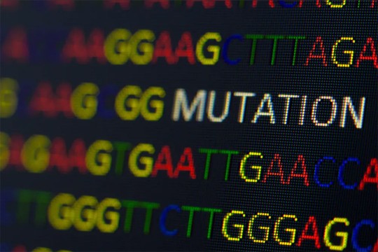 computer screen showing rows of the letters g, a, t, and c and the word mutation.