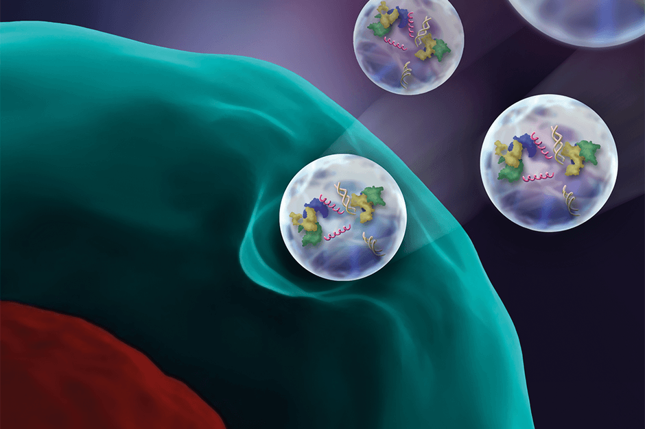 illustration of three cells heading toward a blue layer.